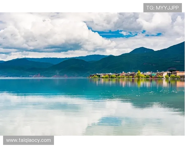 鸟栖沙岩与清风拂面之间的自然和谐与人文交融探讨